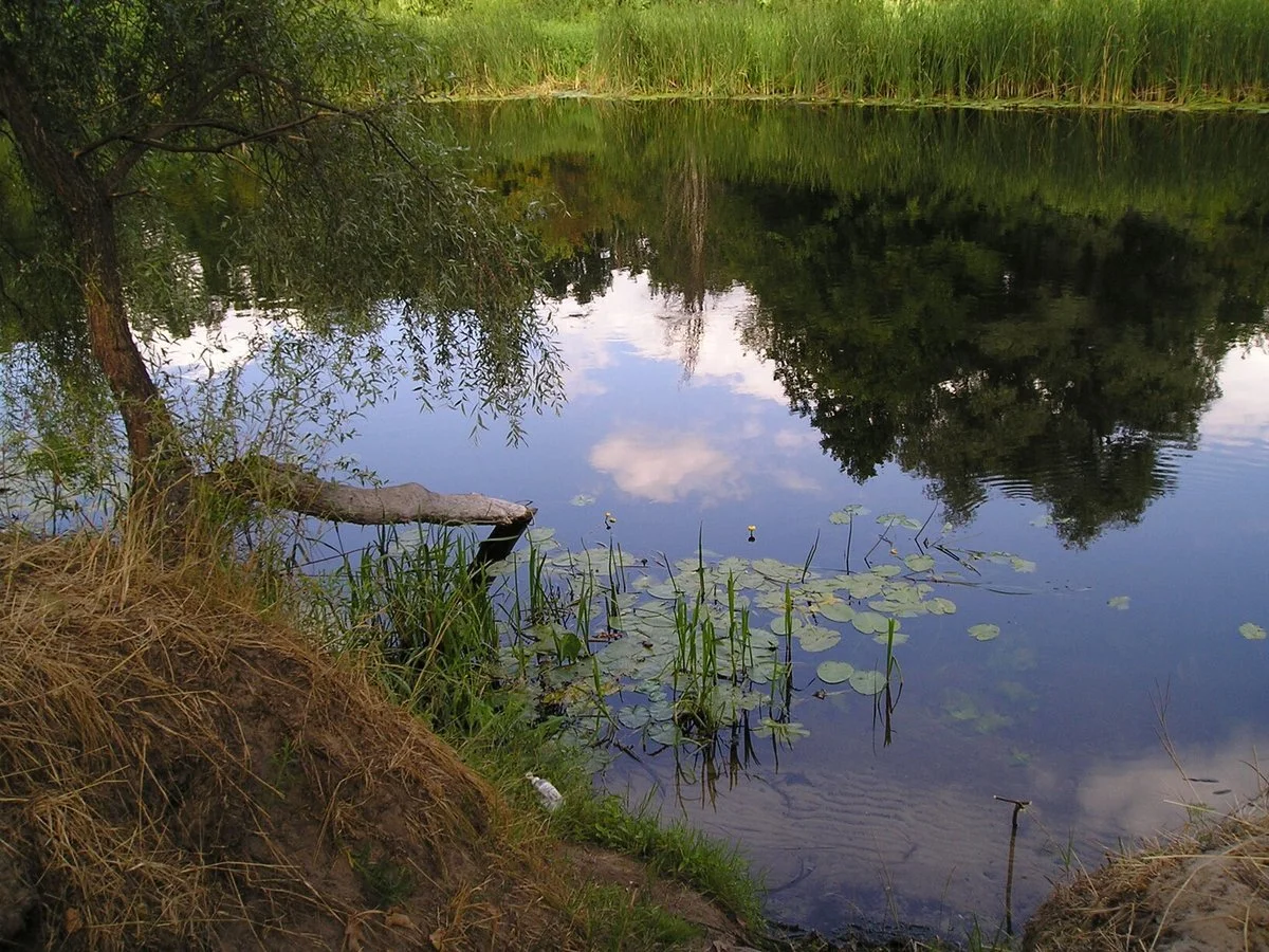 Рамонский район Воронежской области