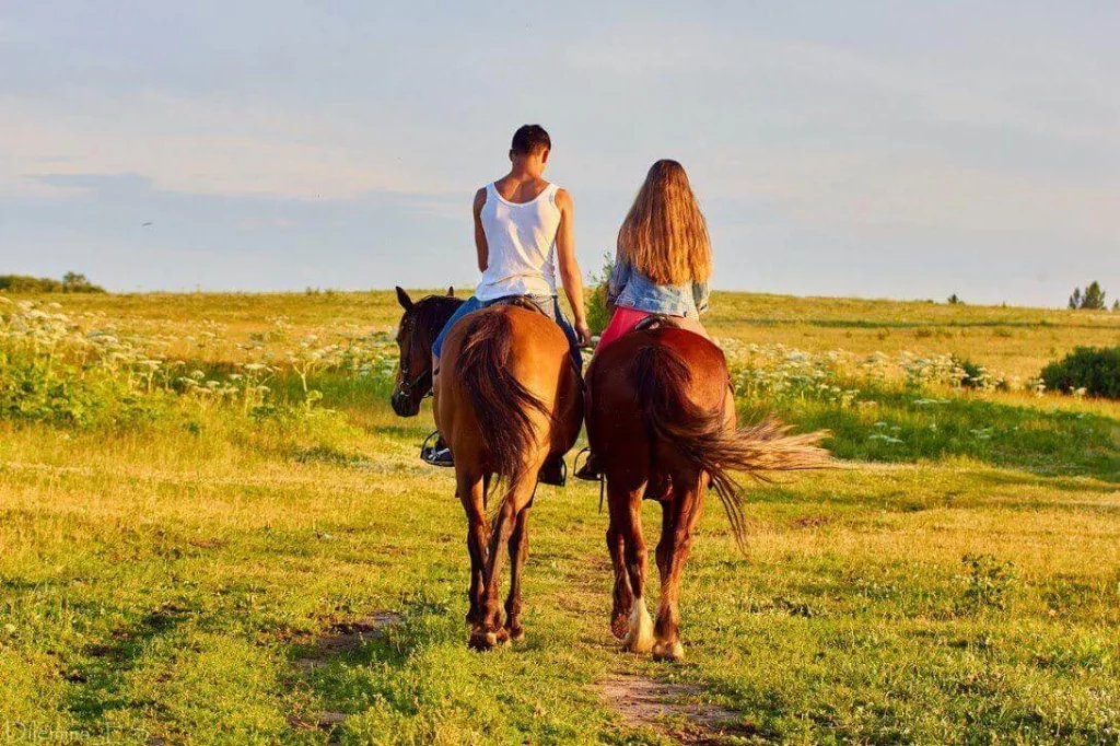 Катание на лошадях в Воронеже и Воронежской области