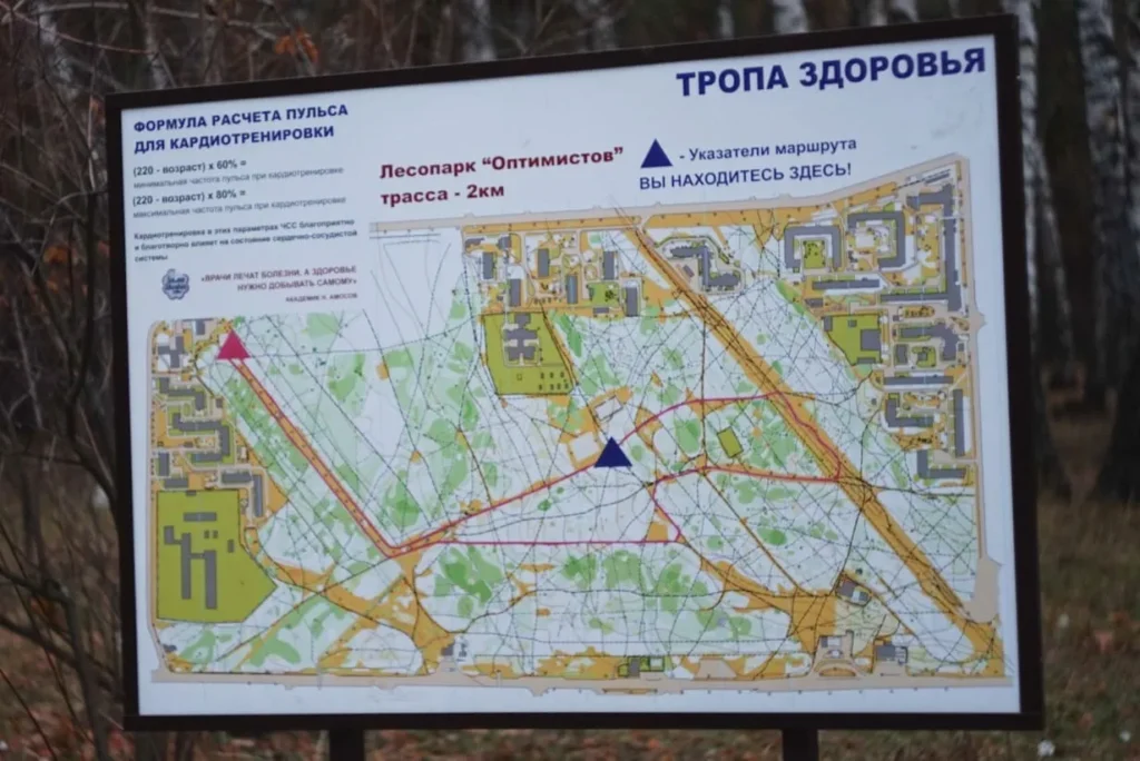 Лесопарк «Оптимистов» в Воронеже: Уникальное место для прогулок на лоне природы